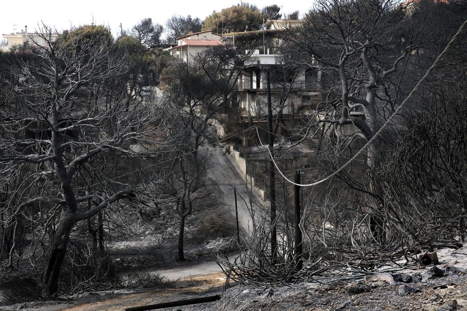 Φωτιά στο Μάτι: Ένας ακόμα εγκαυματίας νεκρός – Στα 100 τα θύματα – Κατέληξε πέντε μήνες μετά